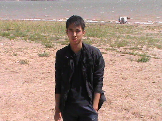  ,    , 33 ,  