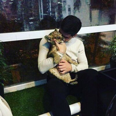  ,   , 22 ,   ,   
