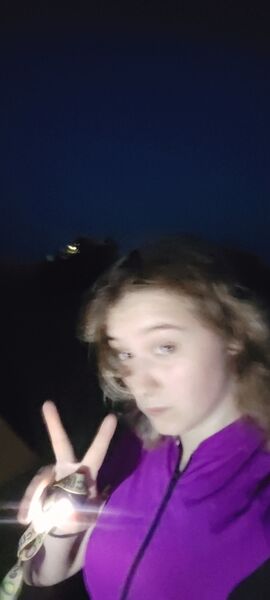  --,   , 21 ,   ,   