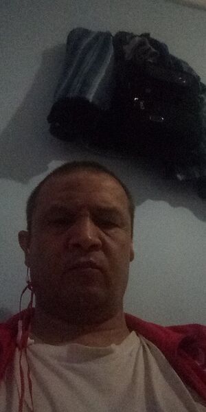  -,   , 53 ,   ,   , c 