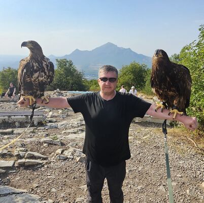  ,   , 41 ,     , c , 