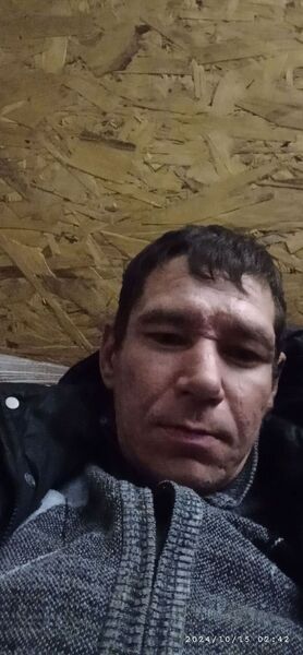  ,   Grey, 42 ,   ,   , c , 