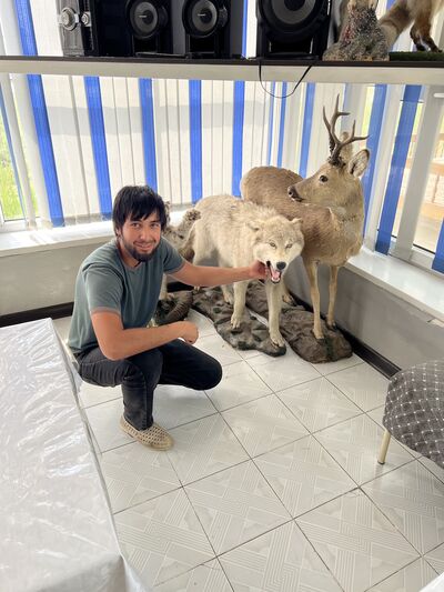  ,   Aslan, 27 ,   ,   