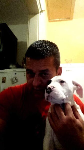  ,   Dragan, 46 ,   ,   