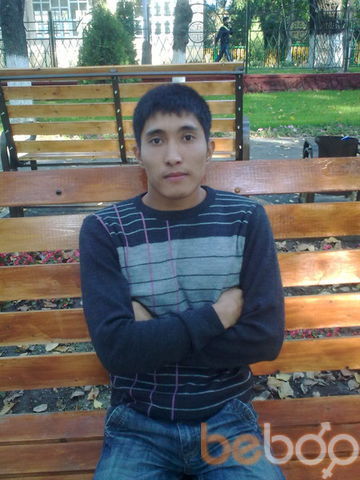  ,   Maxi, 34 ,   ,   , c 