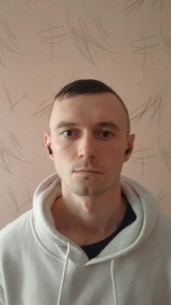  ,   Art, 27 ,   ,   