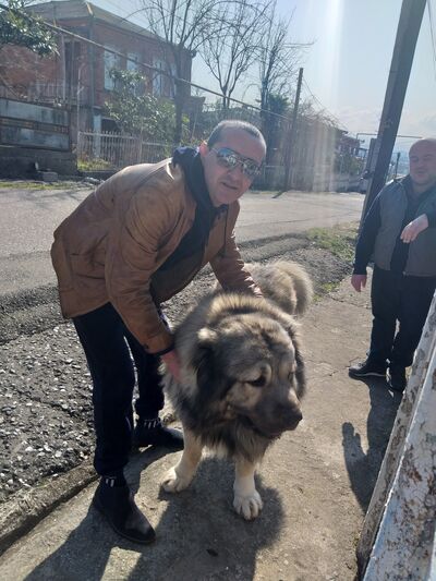  ,   Ramazi, 49 ,   ,   , c 