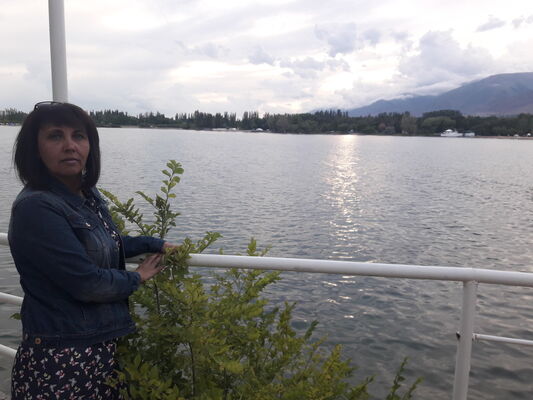  ,   , 51 ,     , c 