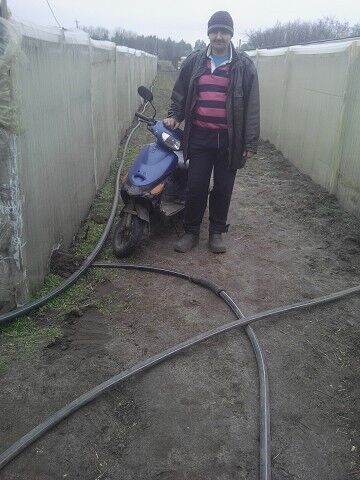  Posen,   , 48 ,   ,   , c 