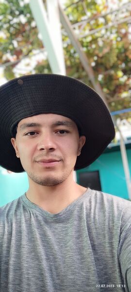  -,   , 29 ,   ,   