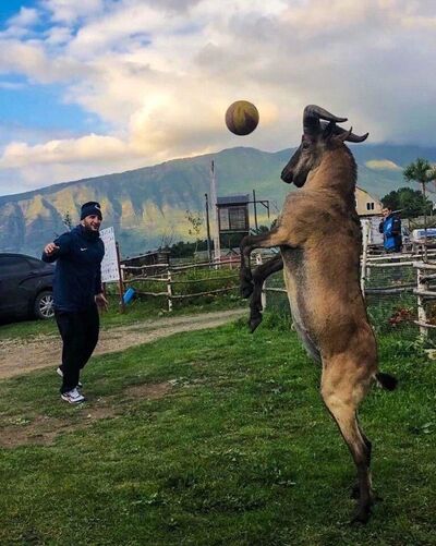  ,   Marat, 34 ,   ,   