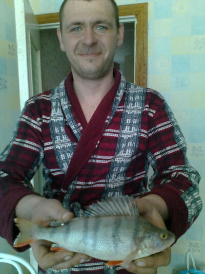 ,   Stalker, 42 ,   ,   , c 