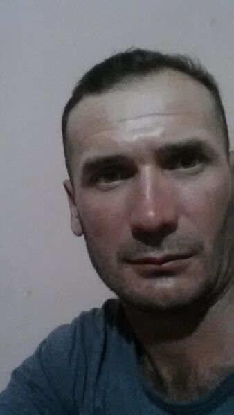  ,   , 38 ,     , c 