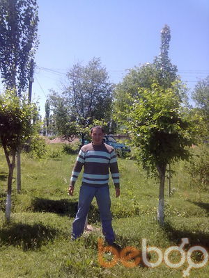  3102001  Bloom, 44 ,    