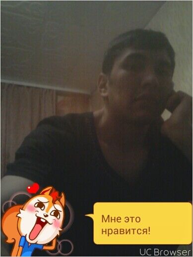  7404881  , 33 ,    