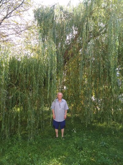  ,   , 65 ,   c 
