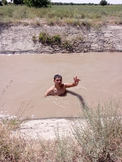  ,   Gulyam, 88 ,   ,   