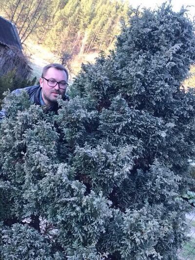  ,   Deimantas, 42 ,   ,   , c 