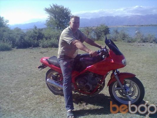  ,   Kot, 46 ,   