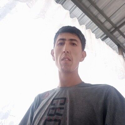  18189541  Dieor, 40 ,    