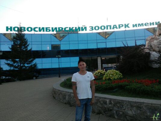  ,   , 41 ,   ,   , c 
