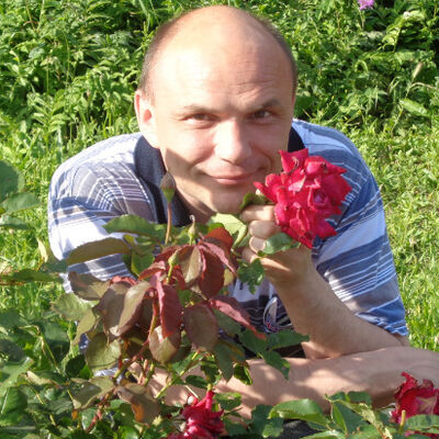  ,   , 51 ,   ,   