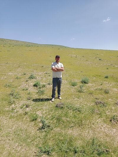  ,   Alisher, 31 ,   ,   