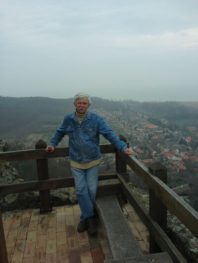  Szentendre,   Endru, 71 ,   ,   , c 