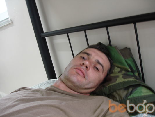  3330031  Davemcgees, 50 ,    