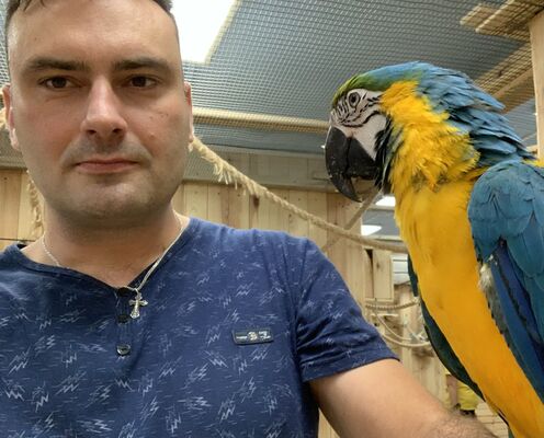  ,   , 40 ,   ,   , 