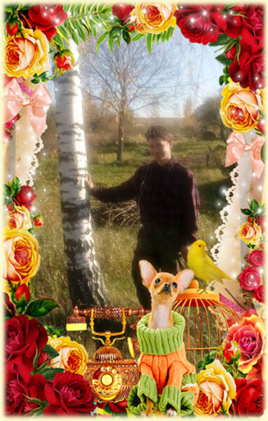  ,   , 45 ,   ,   , c 