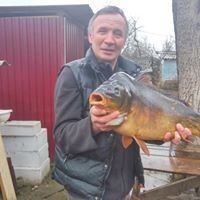  ,   , 59 ,   