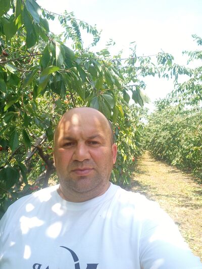  ,   , 46 ,   ,   