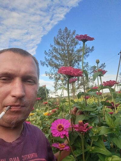  ,   , 36 ,   ,   