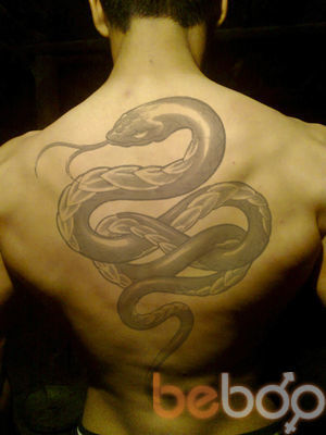 ���������� �����, ���� ������� �����, 32 ����, ������������ ��� ������, ����� � ���������, c�������� ���������, ���������