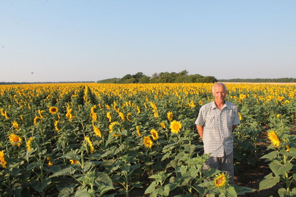  ,   , 66 ,   ,   , c 