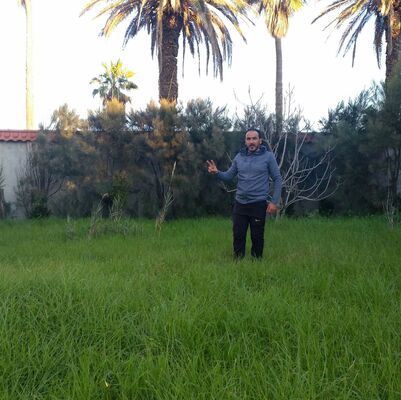  Algiers,   Zoubir, 37 ,   ,   