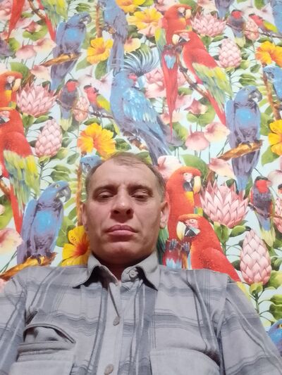  ,   , 51 ,   c 