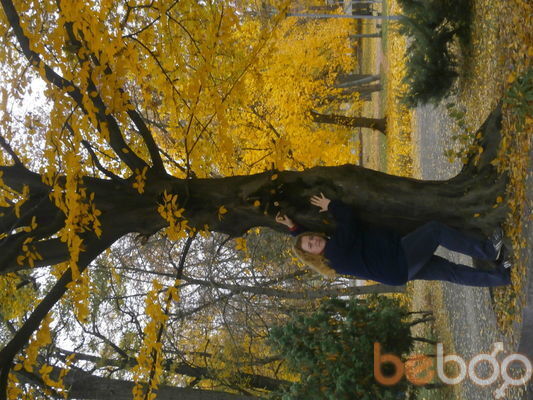 ���������� ���������-�����������, ���� ������� ����, 44 ����, ������������ ��� ������, ����� � ���������, c�������� ���������