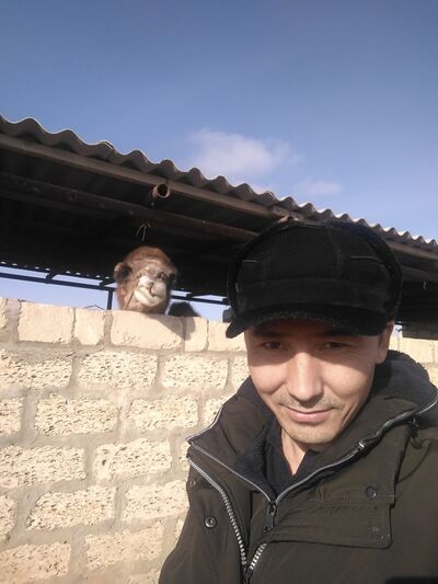  ,   , 41 ,   