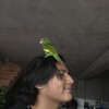  ,  Zahir, 19