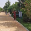   Husniddin