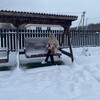   Nika