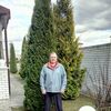   Dima