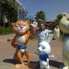   asker