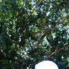   Jendry