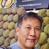   Alex Yang