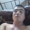   Toxa mongol