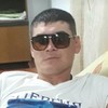   Alibek