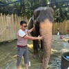  ,  Dilmurod, 28